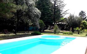 Casa Rural entre Bodegas y Viñedos ' El Jarillal